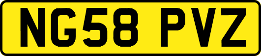 NG58PVZ