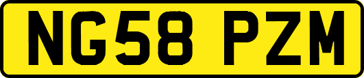 NG58PZM