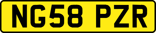 NG58PZR
