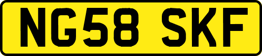 NG58SKF