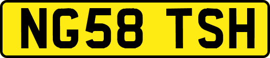 NG58TSH