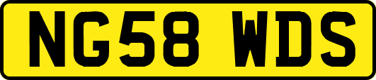 NG58WDS