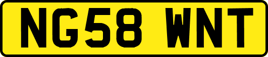 NG58WNT