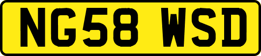 NG58WSD