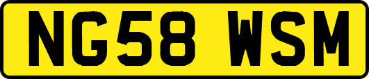 NG58WSM