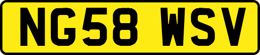 NG58WSV