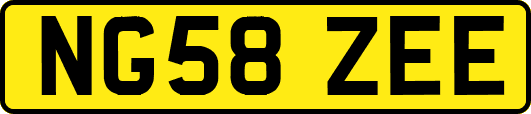 NG58ZEE
