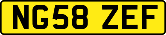 NG58ZEF