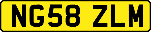 NG58ZLM