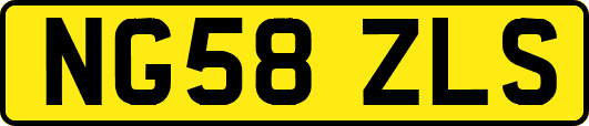 NG58ZLS