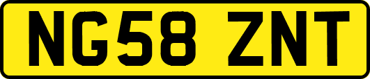 NG58ZNT