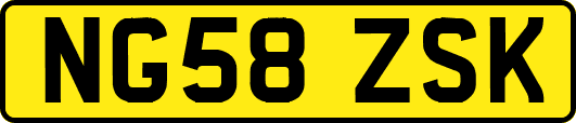 NG58ZSK
