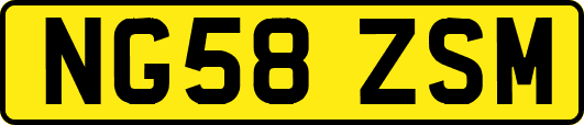 NG58ZSM