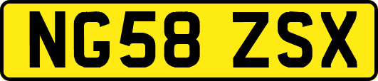NG58ZSX