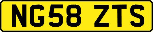 NG58ZTS
