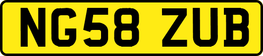 NG58ZUB