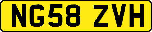 NG58ZVH