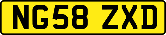 NG58ZXD