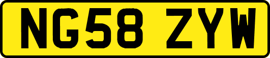 NG58ZYW