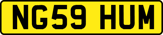 NG59HUM