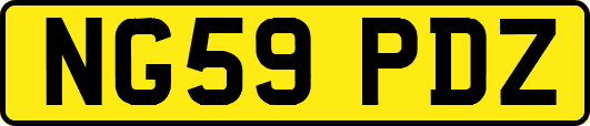 NG59PDZ
