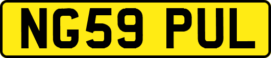 NG59PUL