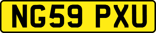 NG59PXU