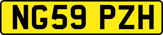 NG59PZH