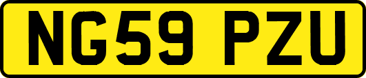 NG59PZU