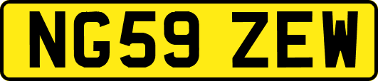 NG59ZEW