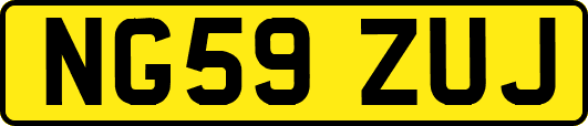 NG59ZUJ
