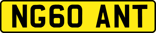 NG60ANT