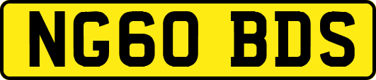 NG60BDS