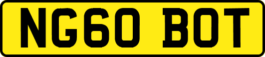 NG60BOT