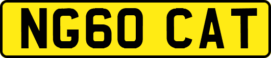 NG60CAT