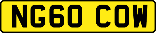 NG60COW