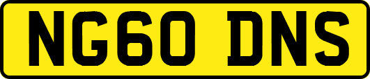 NG60DNS