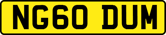 NG60DUM