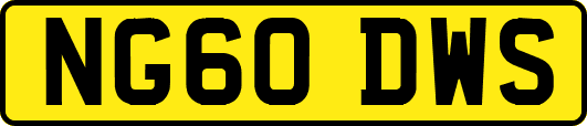 NG60DWS