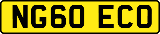 NG60ECO