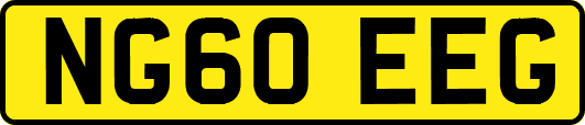 NG60EEG