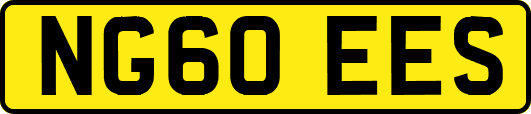 NG60EES