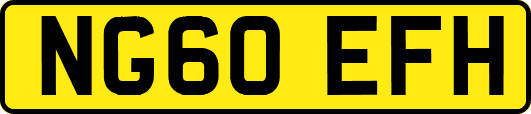 NG60EFH
