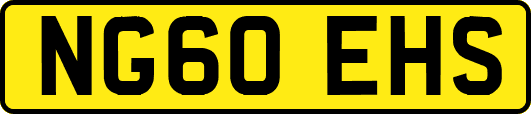 NG60EHS
