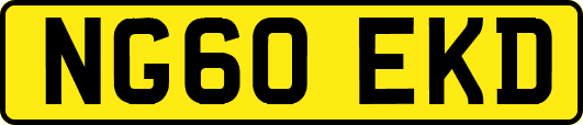 NG60EKD