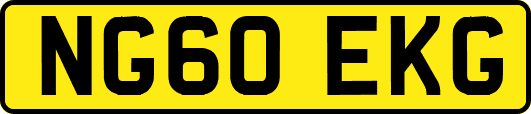 NG60EKG