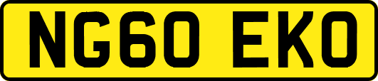 NG60EKO