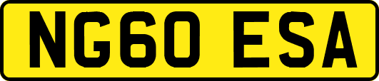 NG60ESA