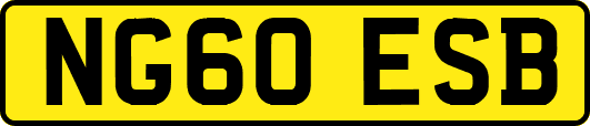 NG60ESB