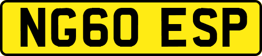 NG60ESP